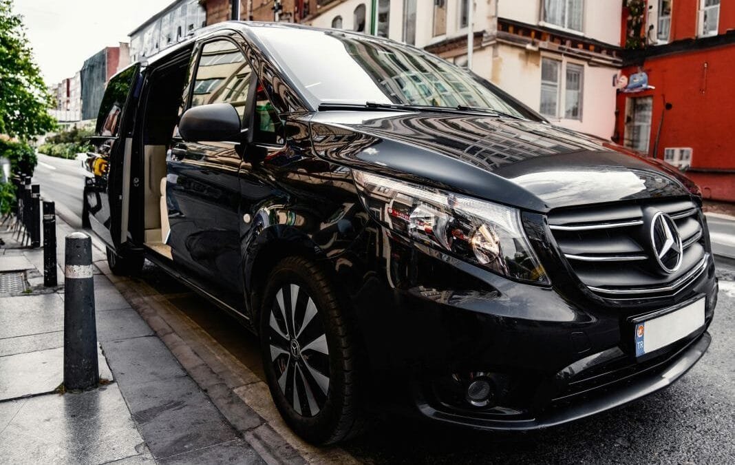 Is it cheaper to drive your pet to Europe than fly them? A cost comparison for UK owners