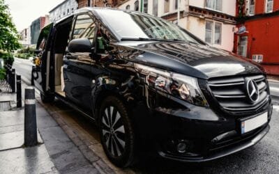 Is it cheaper to drive your pet to Europe than fly them? A cost comparison for UK owners