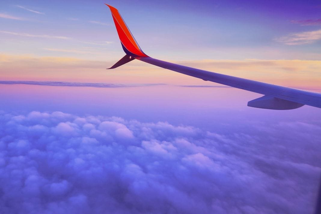 flights-for-pets-tailored-pet-travel