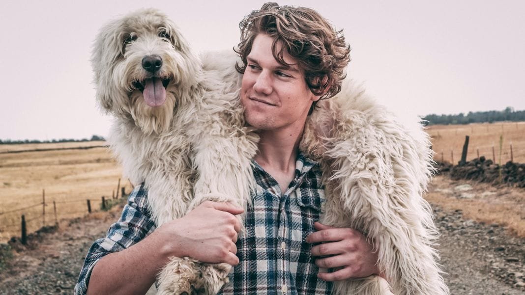 Dog and trainer