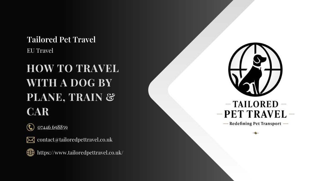How to Travel with a Dog by Plane, Train & Car: Complete UK & International Guide