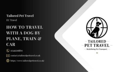 How to Travel with a Dog by Plane, Train & Car: Complete UK & International Guide