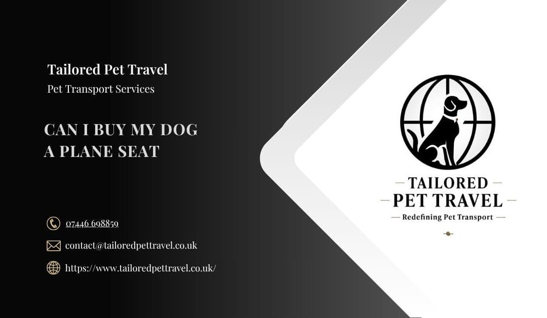 Can I Buy My Dog a Plane Seat?