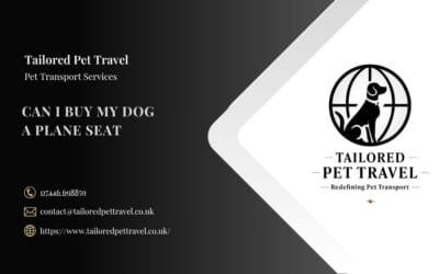 Can I Buy My Dog a Plane Seat?