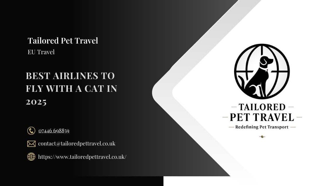 Best Airlines to Fly with a Cat in 2025