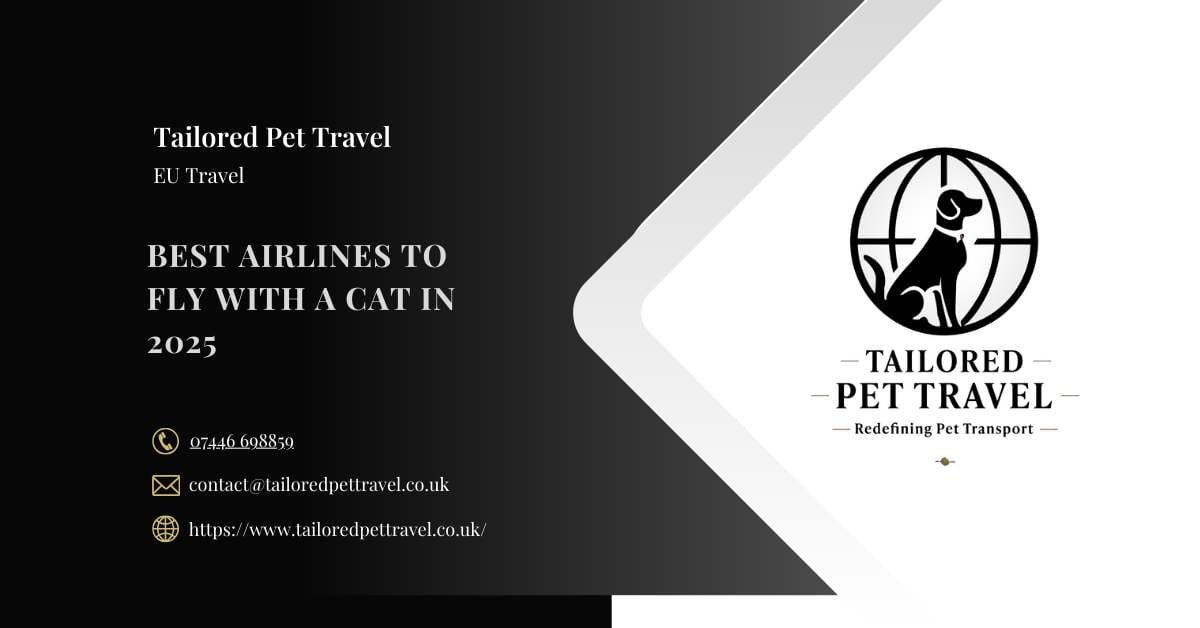 Best cat airlines blog image