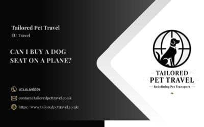 Can I Buy My Dog A Seat On A Plane?
