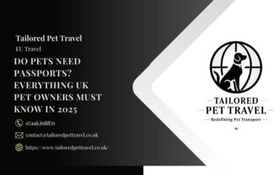 Do Pets Need Passports? Everything UK Pet Owners Must Know in 2025