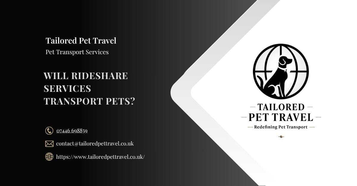 will rideshare services transport pets - Tailored Pet Travel