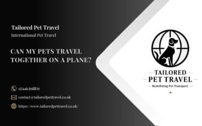 Can My Pets Travel Together On A Plane?