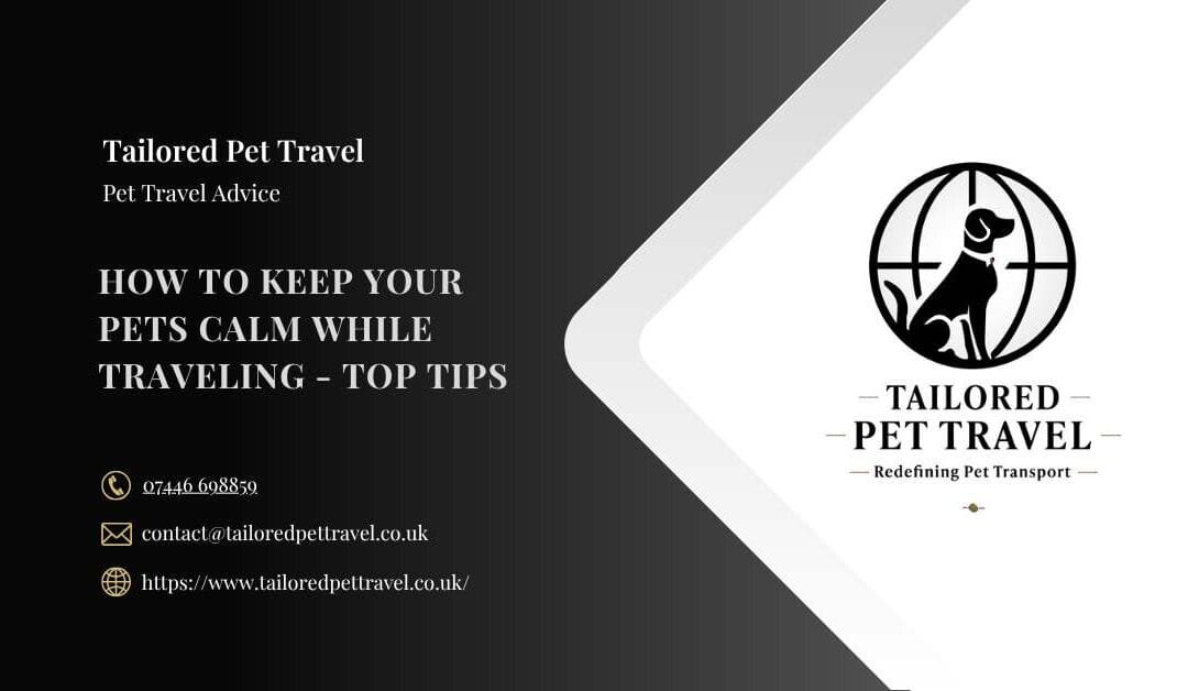 How To Keep Your Pets Calm While Traveling – Top Tips