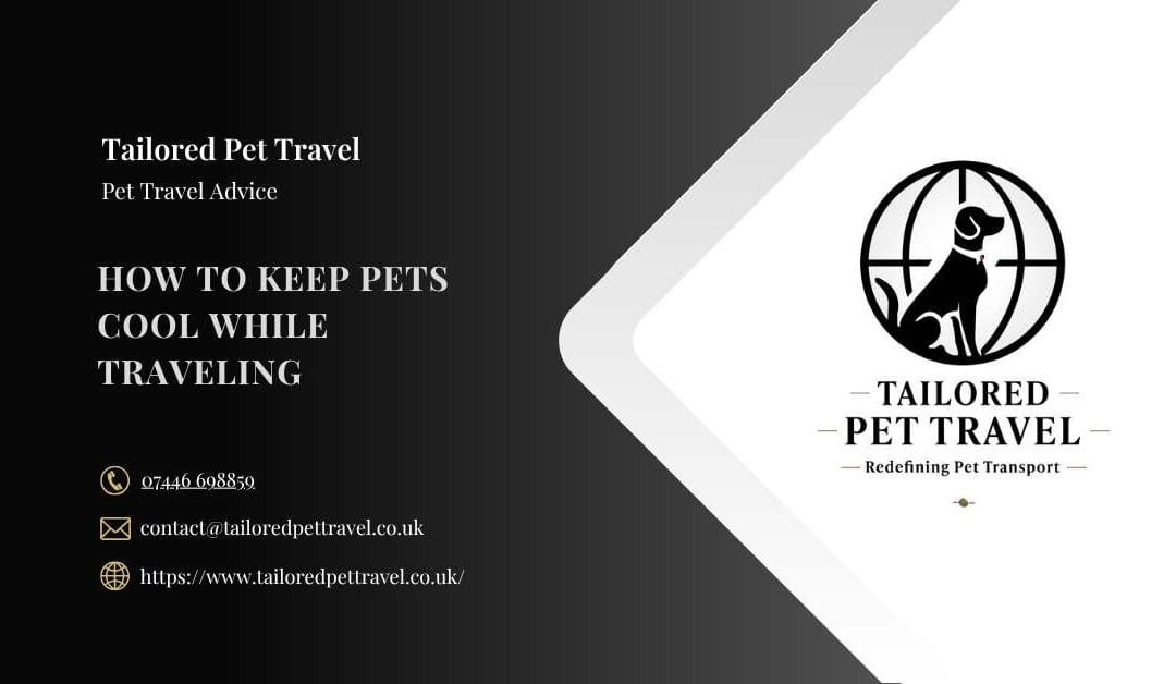 How To Keep Pets Cool While Traveling