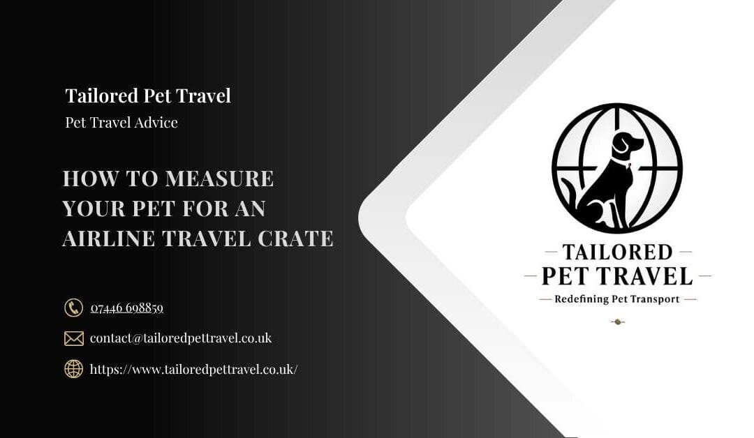 How to Measure Your Pet for an Airline Travel Crate