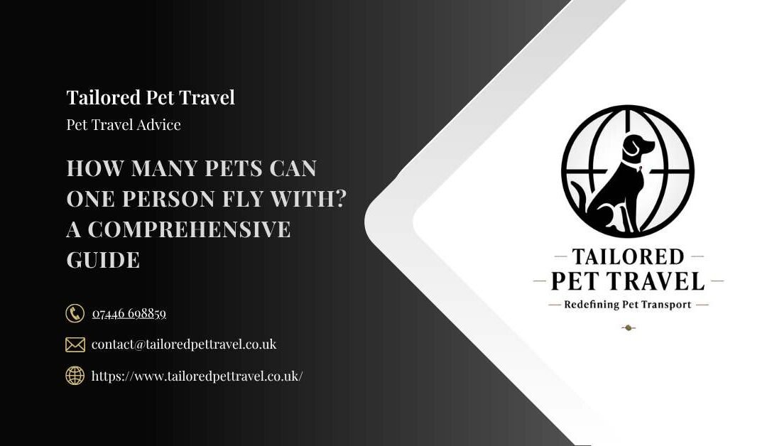 How Many Pets Can One Person Fly With? A Comprehensive Guide