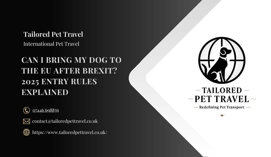 Can I Bring My Dog to the EU After Brexit? 2025 Entry Rules Explained