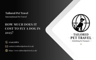 How Much Does It Cost to Fly a Dog in 2025?
