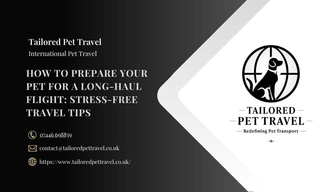How to Prepare Your Pet for a Long-Haul Flight: Stress-Free Travel Tips