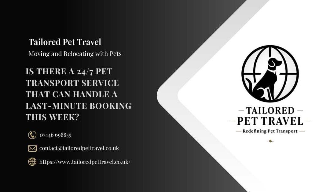 Is There a 24/7 Pet Transport Service That Can Handle a Last-Minute Booking This Week?