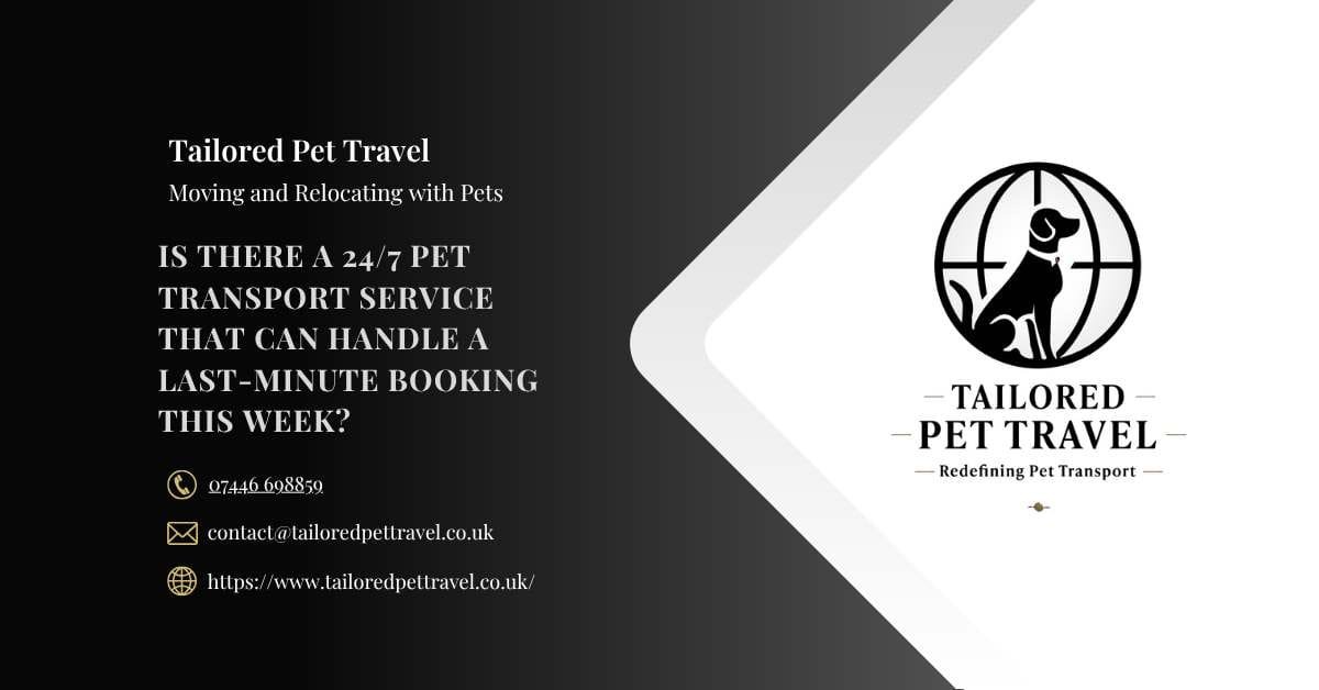 Is There a 247 Pet Transport Service That Can Handle a Last-Minute Booking This Week -Tailored Pet Travel