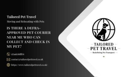 Is There a DEFRA-Approved Pet Courier Near Me Who Can Collect and Check In My Pet?