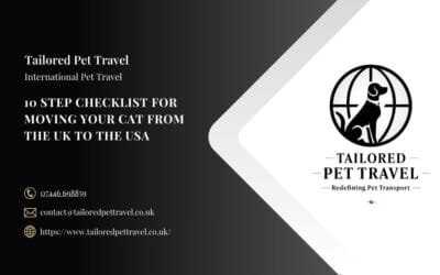 10 Step Checklist for Moving Your Cat from the UK to the USA
