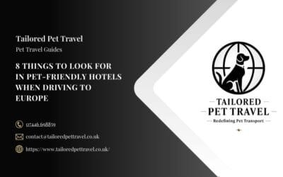 8 Things to Look for in Pet-Friendly Hotels When Driving to Europe