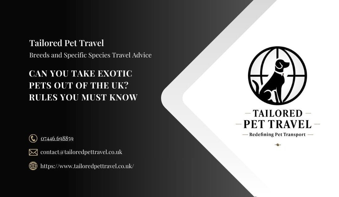 Can You Take Exotic Pets Out of the UK? Rules You Must Know
