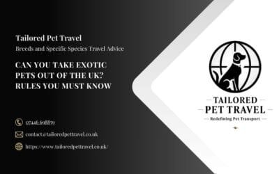 Can You Take Exotic Pets Out of the UK? Rules You Must Know