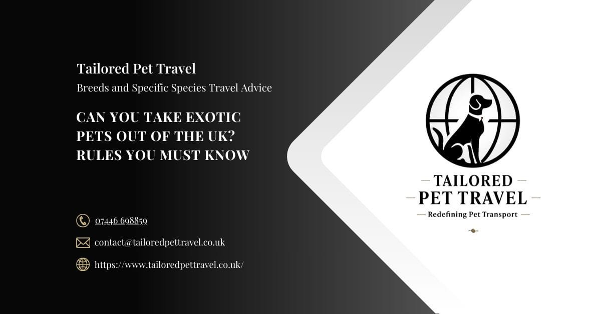 Can You Take Exotic Pets Out of the UK Rules You Must Know - Tailored Pet Travel Can You Take Exotic Pets Out of the UK Rules You Must Know - Tailored Pet Travel