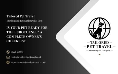 Is Your Pet Ready for the Eurotunnel? A Complete Owner’s Checklist