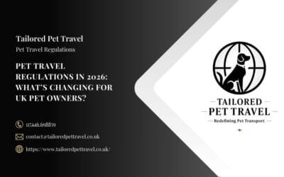 Pet Travel Regulations in 2026: What’s Changing for UK Pet Owners?
