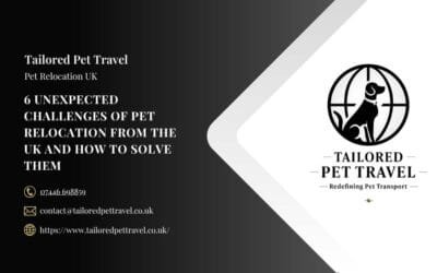 6 Unexpected Challenges of Pet Relocation from the UK and How to Solve Them