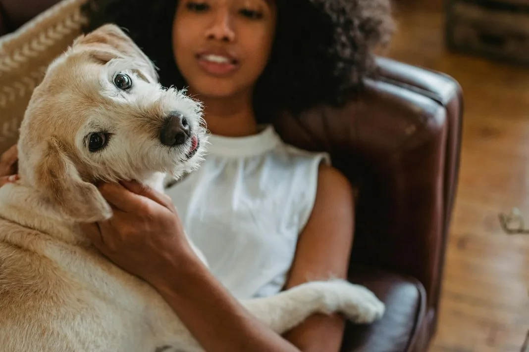 Woman Cuddling Her Dog on a Leather Chair Woman Cuddling Her Dog on a Leather Chair