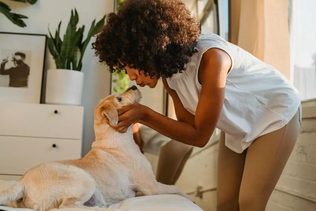Woman Grooming Her Dog at Home Woman Grooming Her Dog at Home