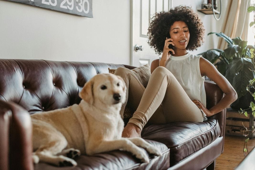 Comfortable dog with owner at home representing stress free pet relocation support – Illustrative Image Comfortable dog with owner at home representing stress free pet relocation support - Illustrative Image