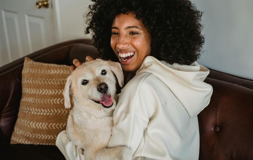 Pet transport in London: what to expect when booking a service for your dog or cat