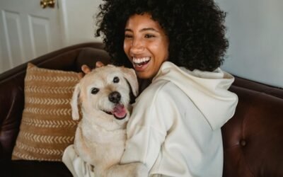 Pet transport in London: what to expect when booking a service for your dog or cat