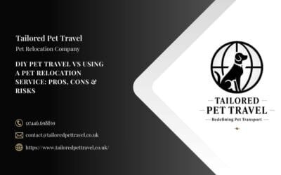 DIY Pet Travel vs Using a Pet Relocation Service: Pros, Cons & Risks