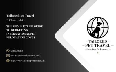 The Complete UK Guide to Budgeting International Pet Relocation Costs