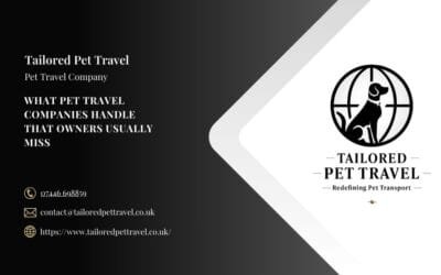 What Pet Travel Companies Handle That Owners Usually Miss