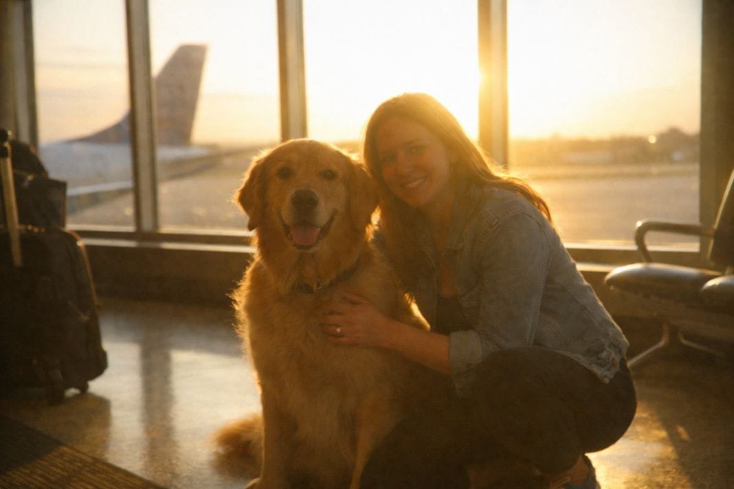AI photo of dog at Heathrow with owner awaiting South Africa flight