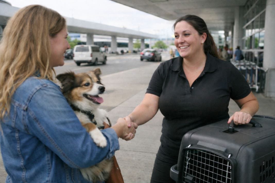 Outdoor pet pickup with crate, dog and travel team preparing for relocation - Illustrative Image