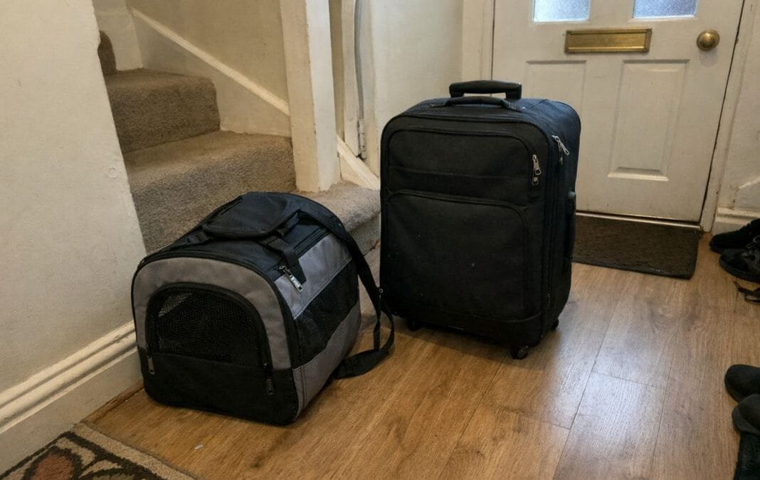 Is It Too Late to Book Professional Pet Transport for My Pet?