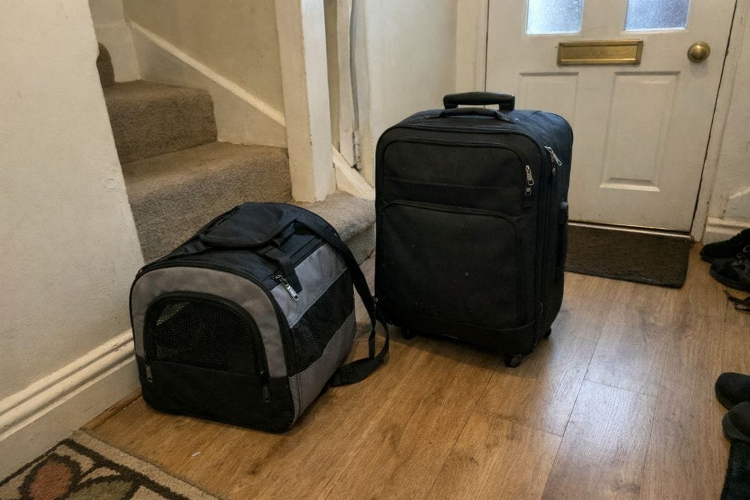An illustrative image of a pet carrier next to a suitcase in a small UK hallway, ready for travel