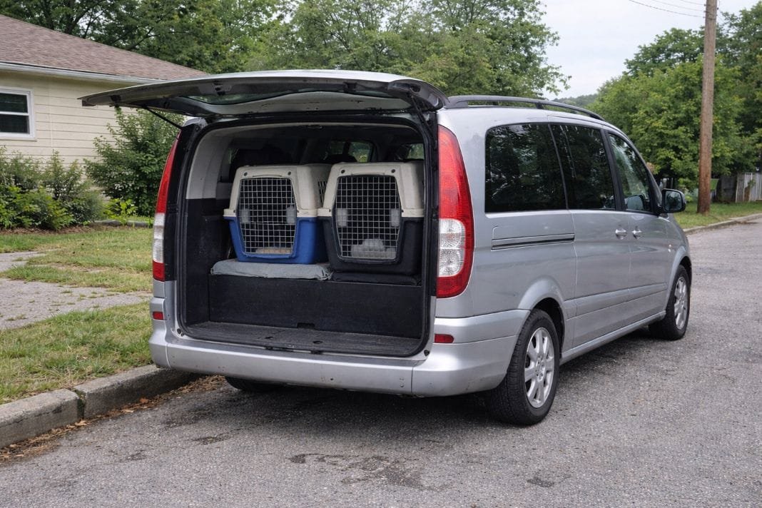 An illustrative image of a pet transport van with open doors revealing animal carriers inside