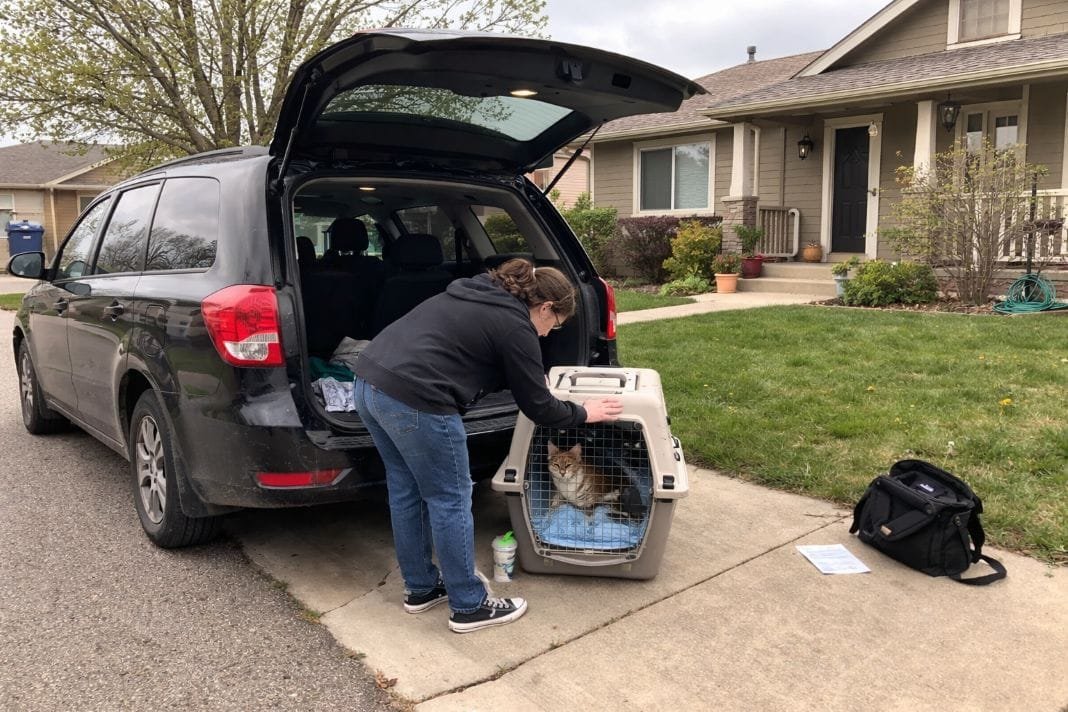 An illustrative image of a pet transport vehicle parked outside a standard home
