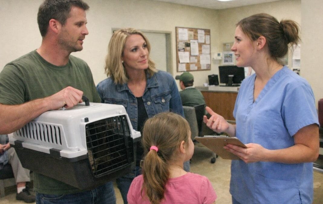 When Should You Contact a Pet Travel Company Before Flying?