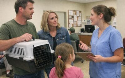 When Should You Contact a Pet Travel Company Before Flying?