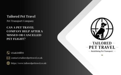 Can a Pet Travel Company Help After a Missed or Cancelled Pet Flight?