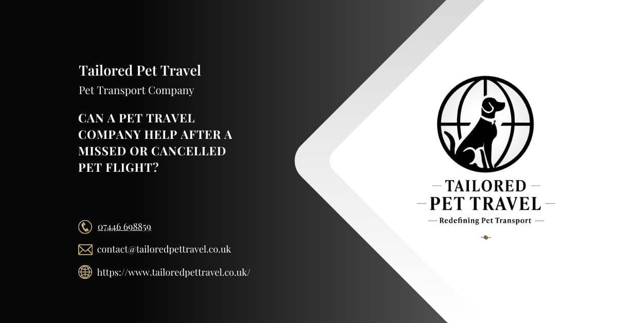 Can a Pet Travel Company Help After a Missed or Cancelled Pet Flight Tailored Pet Travel